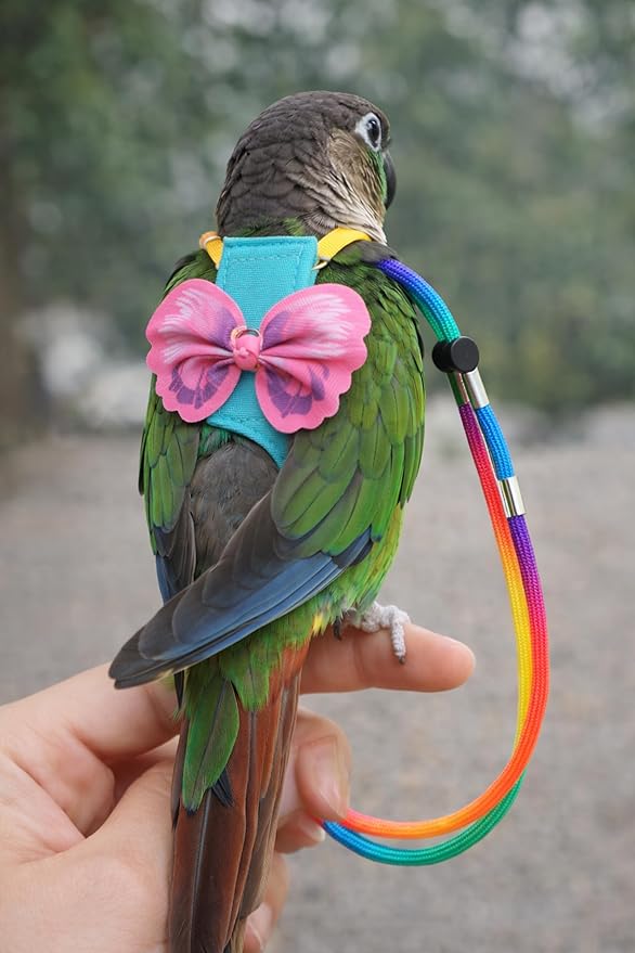 Bird Harness and Leash Set with Diaper, Washable Pet Bird Diapers with Leash, Flight Suit Set for Outdoor Flying & Training