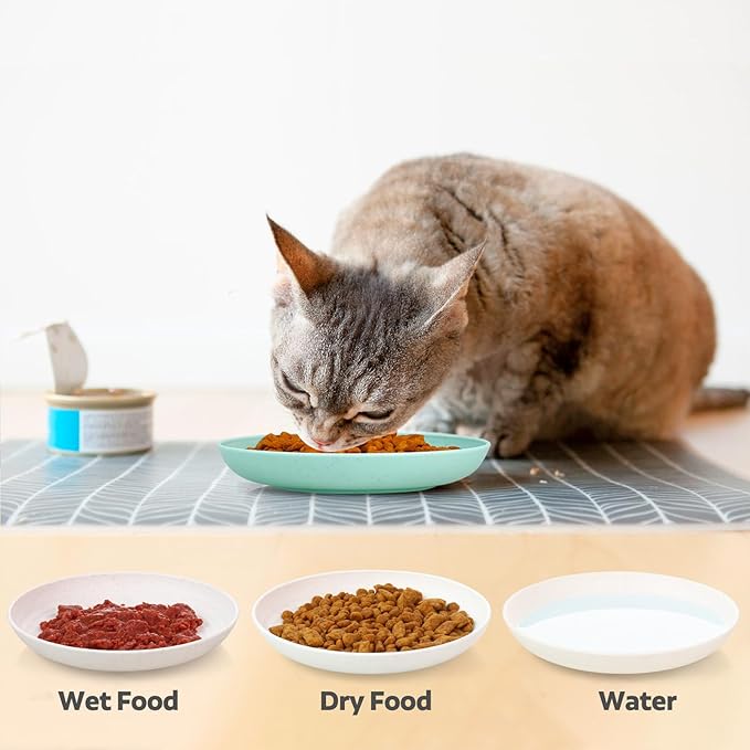 8 Pack Cat Bowls, Cat Food Bowl, 5.9 x 1 Inch Whisker Friendly Shallow Wide Cat Dishes, Pet Food and Water Bowl for Indoor & Outdoor Cats