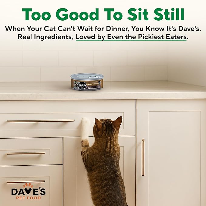 Dave's Pet Food Grain Free Wet Cat Food Pate (Turkey), Made in USA Naturally Healthy Canned, Added Vitamins & Minerals, Carrageenan-Free, 5.5 oz Cans (24 Pack)