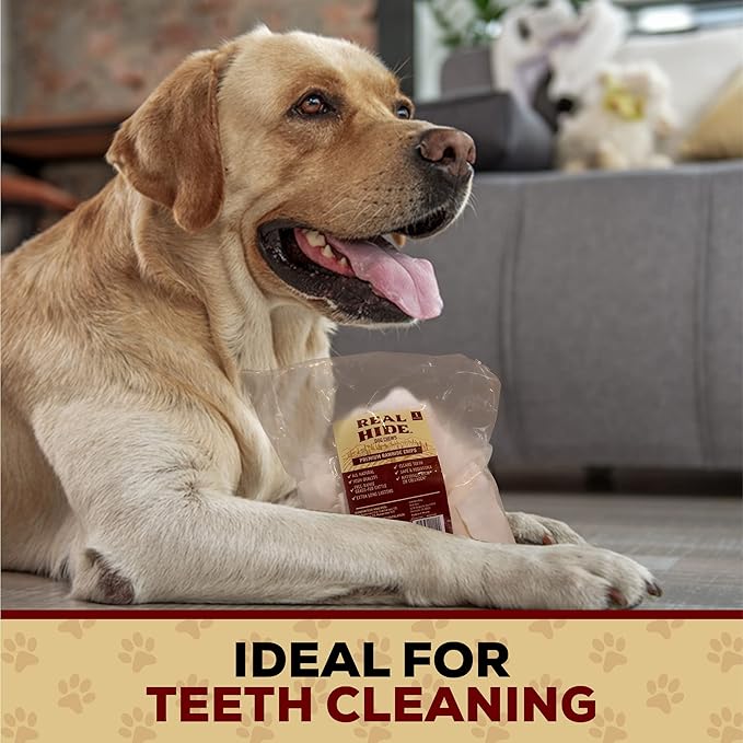 Dog Chew Treats, Rawhide Chips, Beef Hide | All Natural | 1 Pound Pack of 2 | Premium Quality | For Small/Medium/Large Dogs