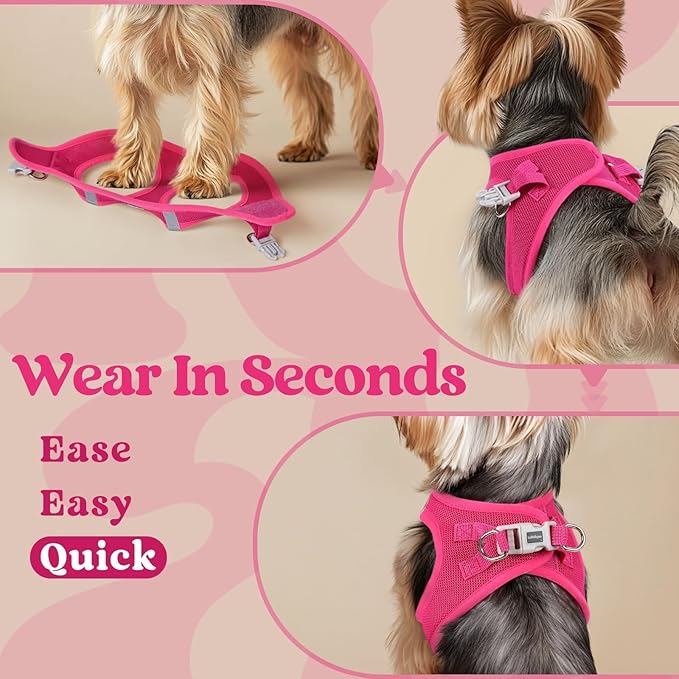 rabbitgoo Small Dog Harness, Step-in Soft Mesh Puppy Vest with Safety Buckle, Breathable Reflective Pet Harness for Extra Small Dogs, Rose Red XXXS
