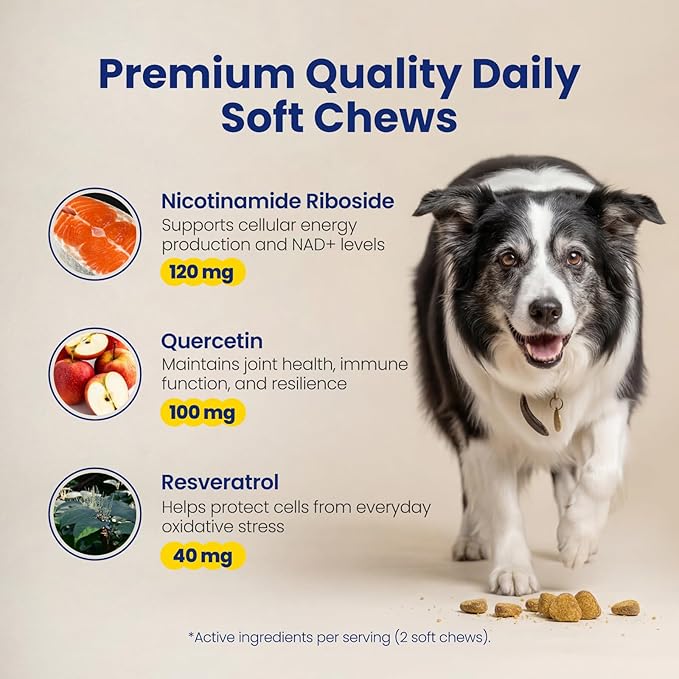 NAD+ Precursor & Senior Dog Supplement - 90 Soft Chews - NMN Alternative for Longevity & Healthy Aging - Nicotinamide Riboside, Resveratrol, Quercetin - Filet Mignon Steak Flavor