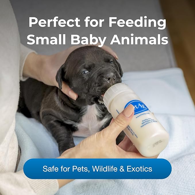 Pet-Ag Nursing Kit - 2 oz - Promotes the Natural Feeding of Liquids to Baby Animals - Each Kit Includes 2 oz. Bottle with Cap, 5 Nipples & Cleaning Brush