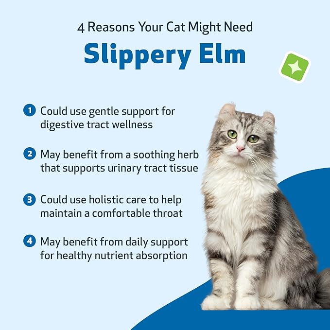 Pet Wellbeing Slippery Elm for Cats - Vet-Formulated Dual Digestive & Throat Support - Organic Pure Single Herb Extract - Holistic Soothing Cat Supplement - Liquid Formula 2 oz (59ml)