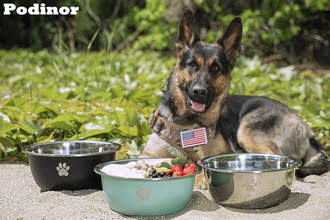 Large Dog Water Bowl 2 Pack, 1.3 Gallons 170oz Stainless Steel Extra Large Dog Food Bowl for Big Giant Dogs, Silver