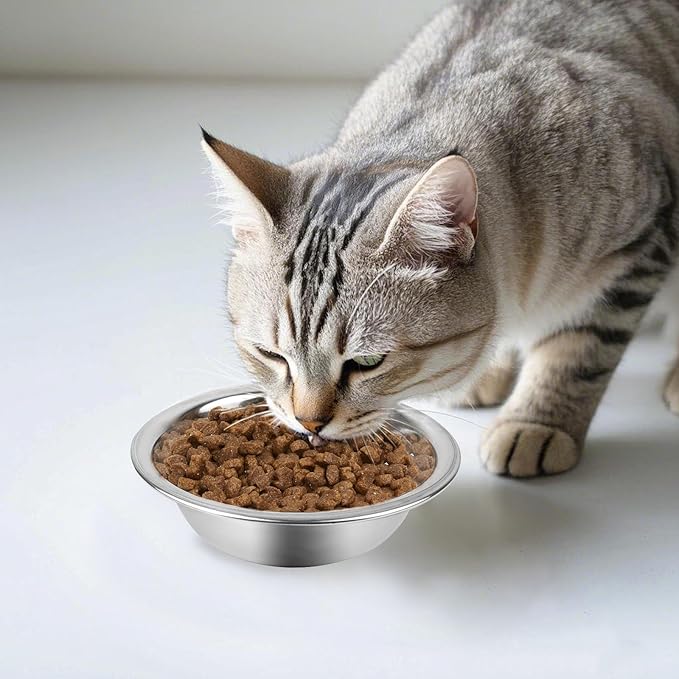 ZUFECY 4-Pack Stainless Steel Cat Bowls, 5.5'' Non-Tip Pet Food Dishes, Easy Clean Water Bowls for Indoor/Outdoor Use