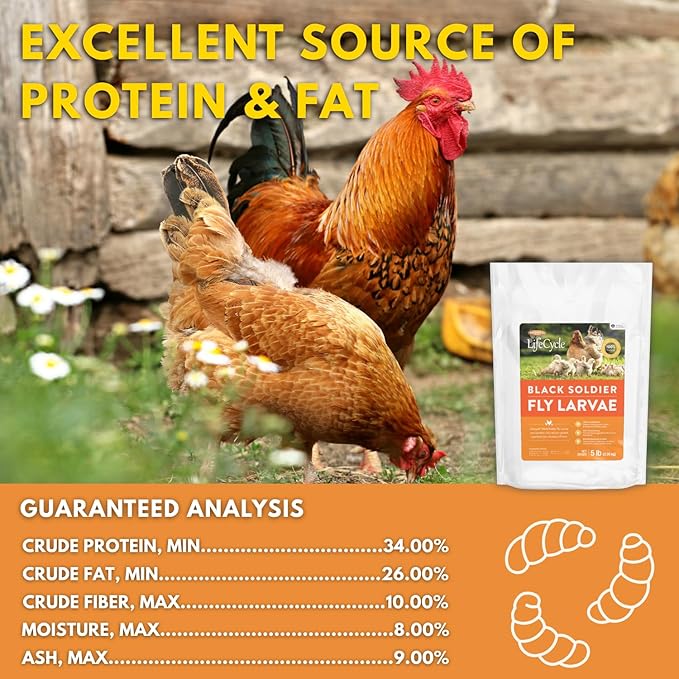 Brooks Brand Black Soldier Fly Larvae Chicken Treats, Mealworms Substitute, Grubs for Chickens, High Calcium for Laying Hens, Made in USA (5 lbs)