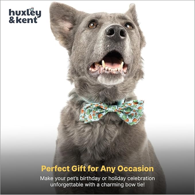 Huxley & Kent Pet Bow Tie for Dogs & Cats - Adjustable Hook & Loop Collar Accessory - Cute & Comfortable for Holidays & Celebrations - I'm Prickly Cactus, Large