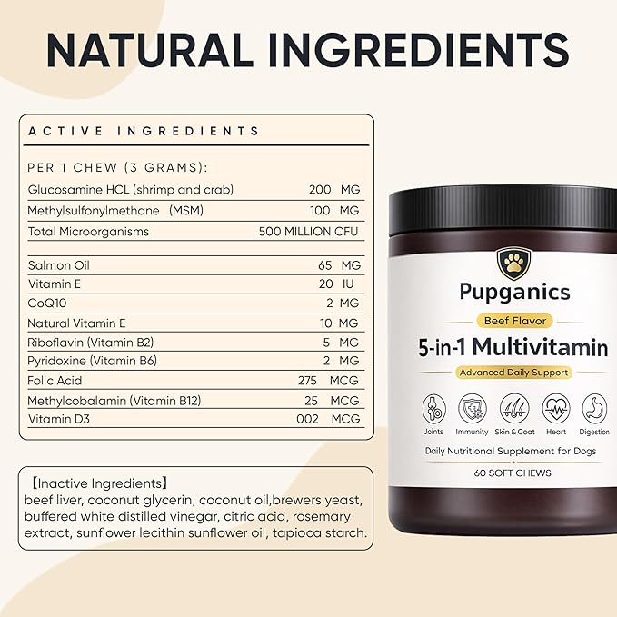 Pupganics Multivitamin Daily Soft Chews for Dogs, Pupganics 5 in 1 Multivitamin, Vitamin & Probiotics for Skin & Hair, Heart Health, Immune Support, Beef Flavor, 60 Soft Chews (1 PCS)