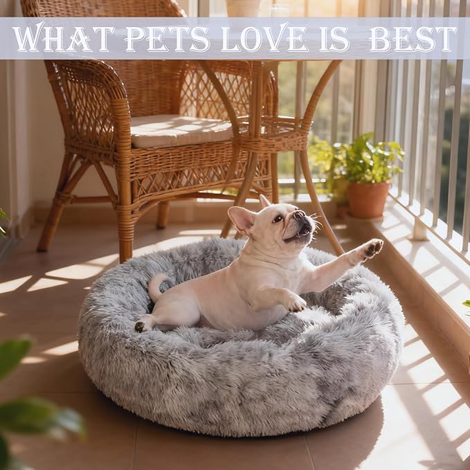 Washable Dog & Cat Bed for Ultra Large Small Medium Size Pet, Calming Donut Round Cute Warming Mat House Supply Indoor, 8 Sized Deal Necessity Essential Furniture for Boy Girl Puppy Kitten kitty