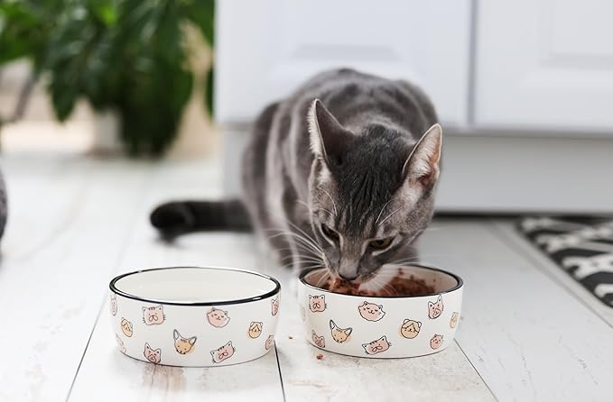 Pearhead Ceramic Cat Bowl, Holds 12 oz, Whisker-Friendly Pet Dish for Food and Water, Cute Cat Face Design