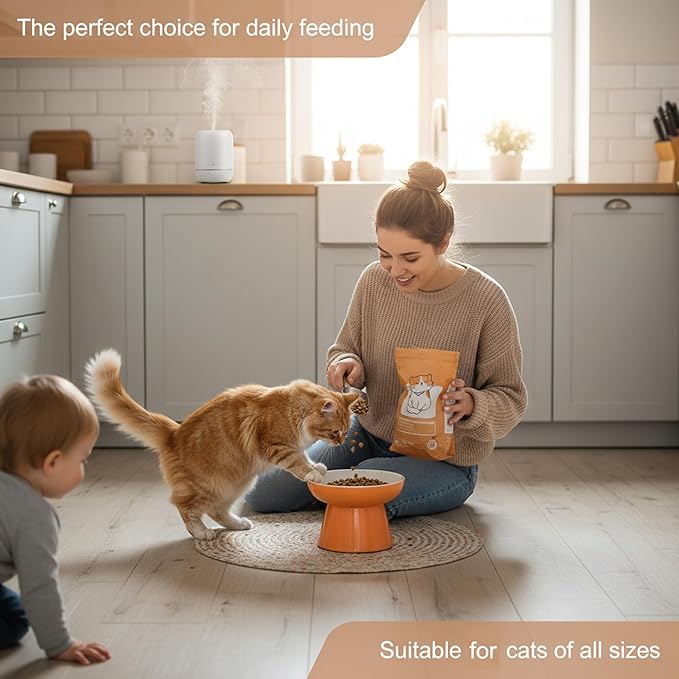 Ceramic Raised Cat Bowl, Elevated Cat Food Bowl with Non-Slip Base,Whisker Friendly Shallow Feeder for Dry & Wet Food, Dishwasher Safe, Anti Vomiting (Orange)