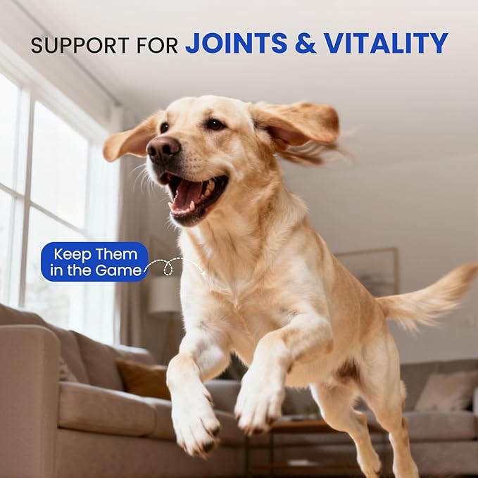 Omega 3 Fish Oil for Dogs & Cats- 150 Softgels for Skin, Coat & Joint Support | Tasty Fast-Absorbing Supplement with EPA & DHA | Made from Wild-Caught Fish