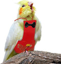 Bird Diaper Washable Parrot Diapers Reusable Bird Flight Suit Nappies Protective Breathable Parrot Nappy Clothes for Budgie Canary Budgie Cockatiel(Red, Medium)