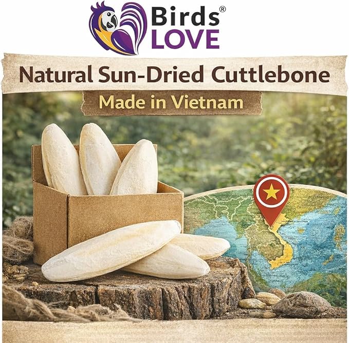 Birds LOVE 7.5-8" Cuttlebones for Birds – 100% Natural Sun-Dried Calcium Carbonate Mineral Supplement – for Parakeets, Budgies, Cockatiels, Finches & Canaries – 6 Pack with Holder – Made in Vietnam