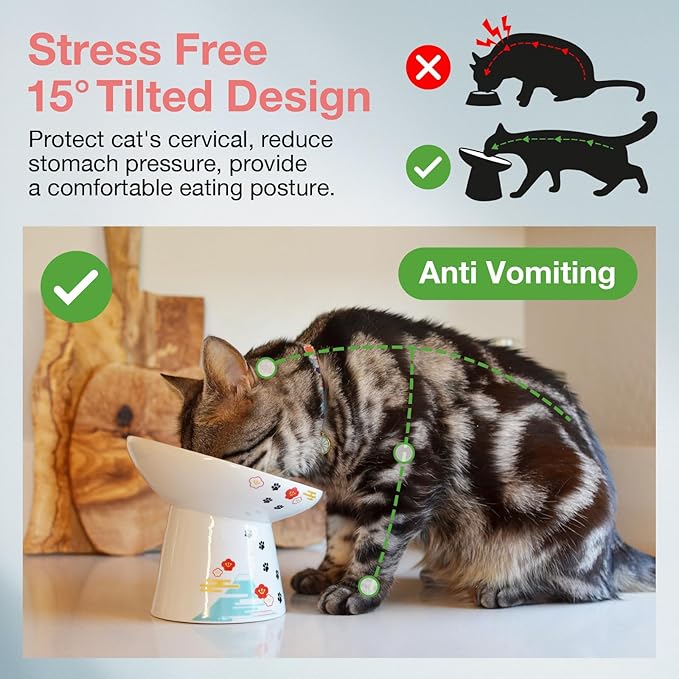 Necoichi Raised Cat Food Bowl – Ceramic Elevated 15° Tilted cat Bowl for Whisker & Neck Fatigue, Dishwasher & Microwave Safe, Non-Slip Anti-Vomiting Design (Fuji, Extra Wide Tilted, 1.5-Cups Capacity)