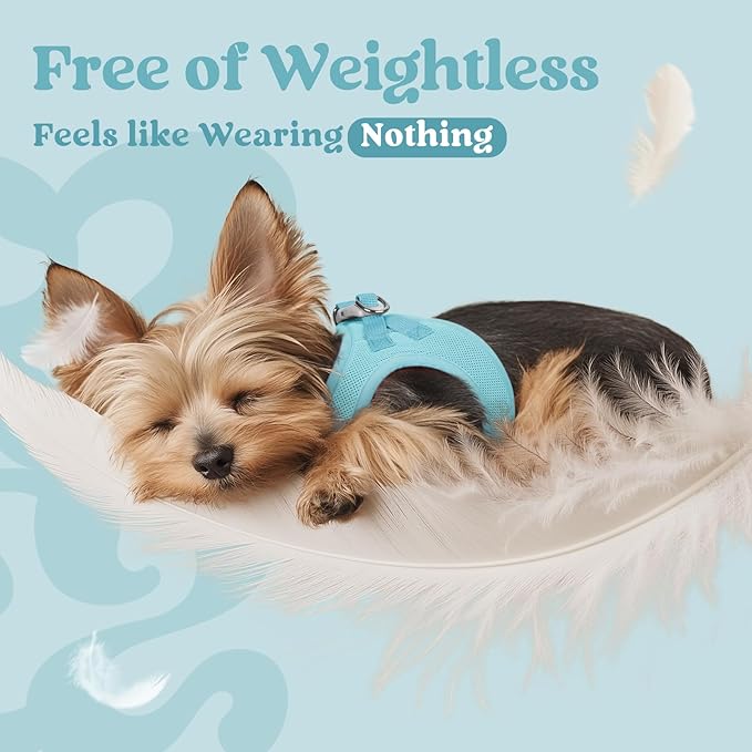 rabbitgoo Small Dog Harness, Step-in Soft Mesh Puppy Vest with Safety Buckle, Breathable Reflective Pet Harness for Extra Small Dogs, Mint Blue XXXS
