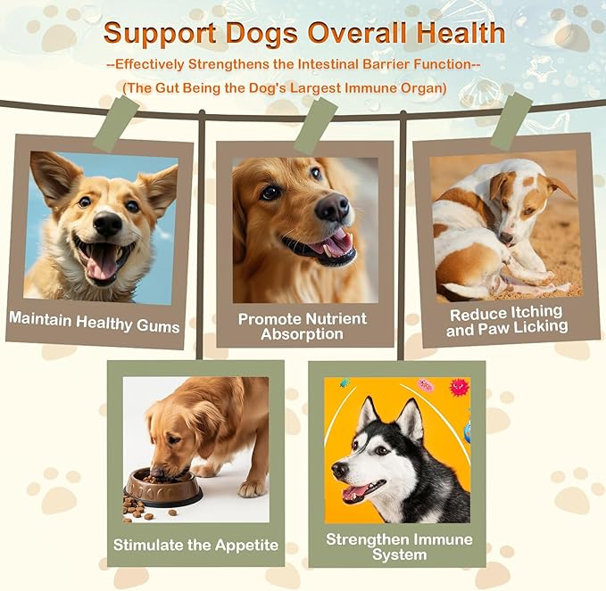 Dog Probiotic Soft Chews 200, Support Gut Health, Immunity, Diarrhea Gas Relief Digestive Balance, Relieve Itchy Skin, with Pumpkin Blueberry, 6 Digestive Enzymes, 4 Prebiotics, 6 Probiotics for Dogs
