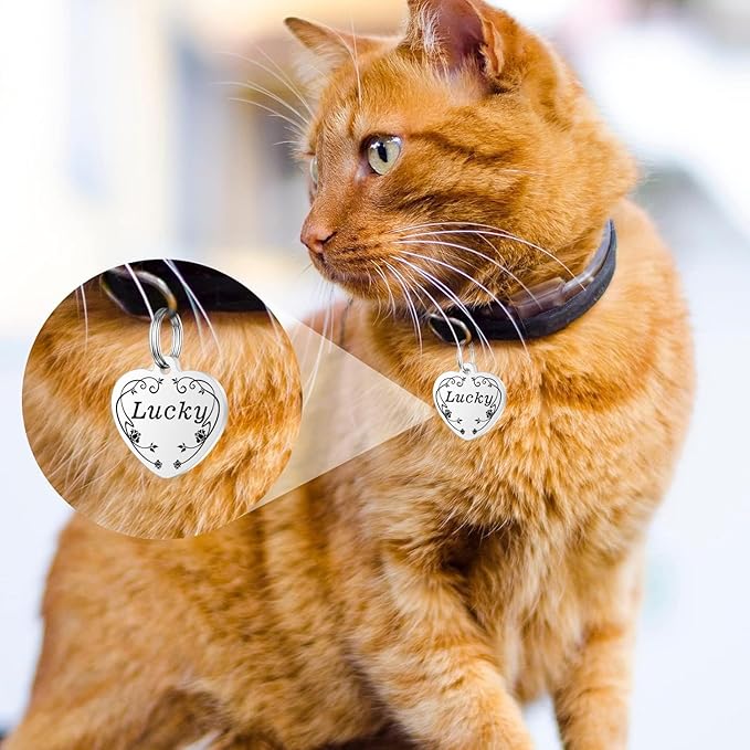 Personalized Dog Tags, Stainless Steel Pet Tags Personalized Cat, Collar Charm Engraved on Both Sides, up to 4 Lines of Custom Text, Multiple Patterns Colors Size Options (Flower, XSmall)