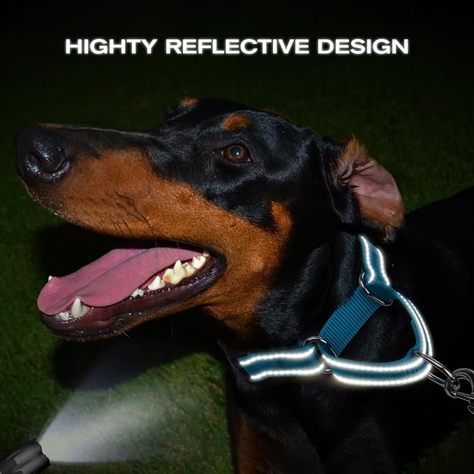 Joytale Martingale Collar for Dogs, Reflective Heavy Duty for Safety, Quick Release Buckle, Adjustable Nylon Collars for Medium Dogs Walking Training, Sky Blue,M