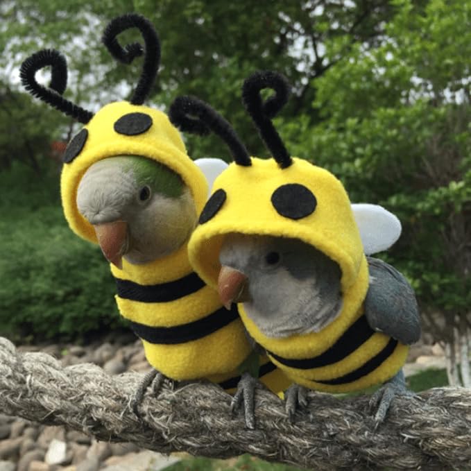 Bird Costume Diaper Flight Suit Bee Shape Clothes Cosplay Photo Prop for Parrots Lovebird Budgie Parakeet Cockatiel Sun Conure, Small Animals Apparel (Bee Without Diaper, Medium), Green (BPF1)