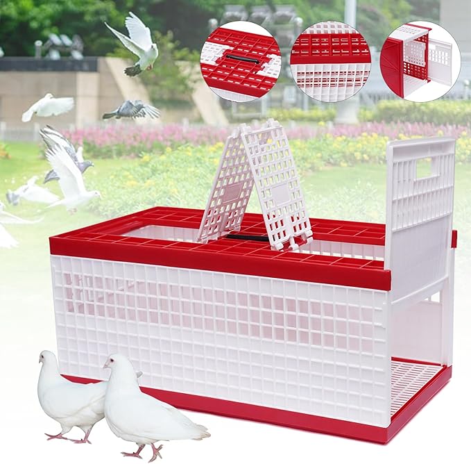 Plastic Transportation Pigeon Cage, 23.62x12.2x10.24 inches Large Space Foldable Pigeon Cage, Racing Pigeon Carrier Box with Handle, Portable Bird Travel Nest Box for Courtyard, Balcony, Lawn