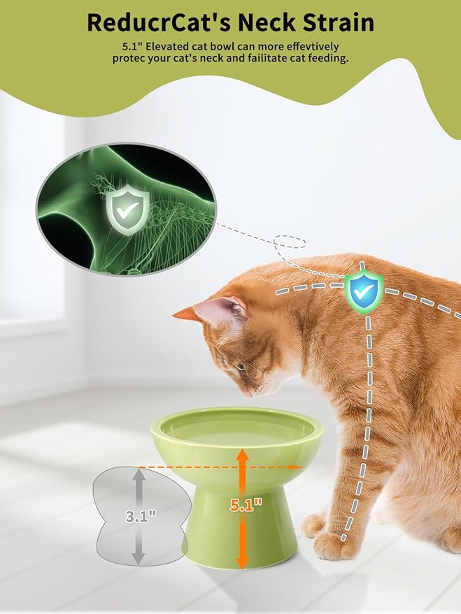 LoeJan Elevated Food and Water Bowls Set, Extra Wide and Raised Ceramic Feeder, Anti-Vomit Whisker-Free Pressure Cat Bowl for Kittens to Adult Cats, Small Dogs (Green, Water Bowl)