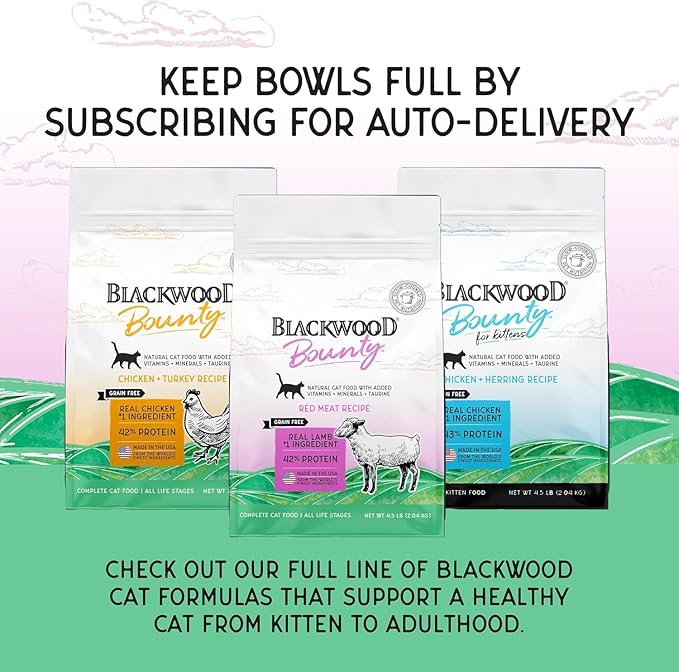 Blackwood Bounty Dry Cat Food, Chicken & Turkey Recipe for All Life Stages, 2 Pound Bag, High Protein, Grain Free