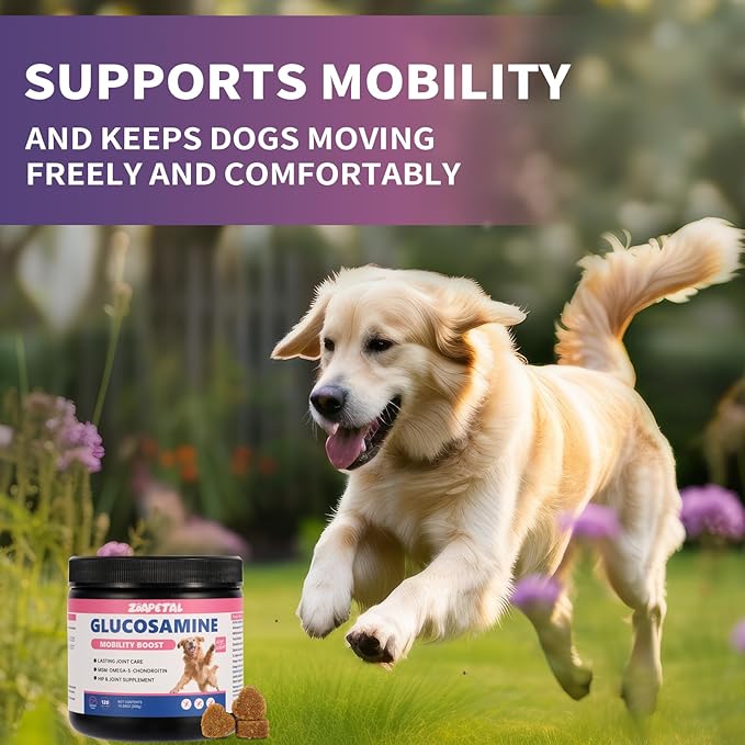 Senior Dog Hip & Joint Supplement – Chicken Flavor Soft Chews with Glucosamine, Chondroitin, MSM, Yucca & Dual Omega 3-6 – Daily Multivitamin for Mobility & Vitality – ZOAPETAL
