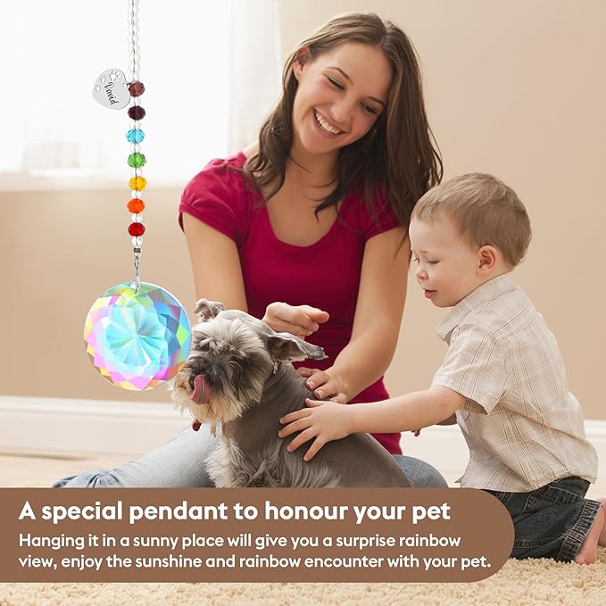 free-space Rainbow Bridge Pets Personalized Crystal Light Catcher Cat/Dog Keepsake Pet Loss Sympathy Gift (Round)
