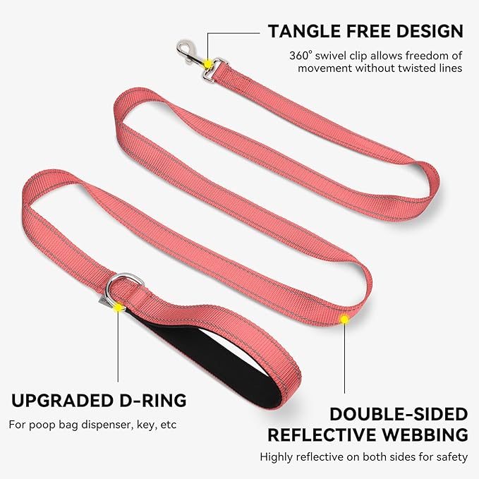 Joytale Dog Leash, 6 FT Double-Sided Reflective, Padded Handle Nylon Heavy Duty Leashes for Small Dogs Walking, Neon Pink