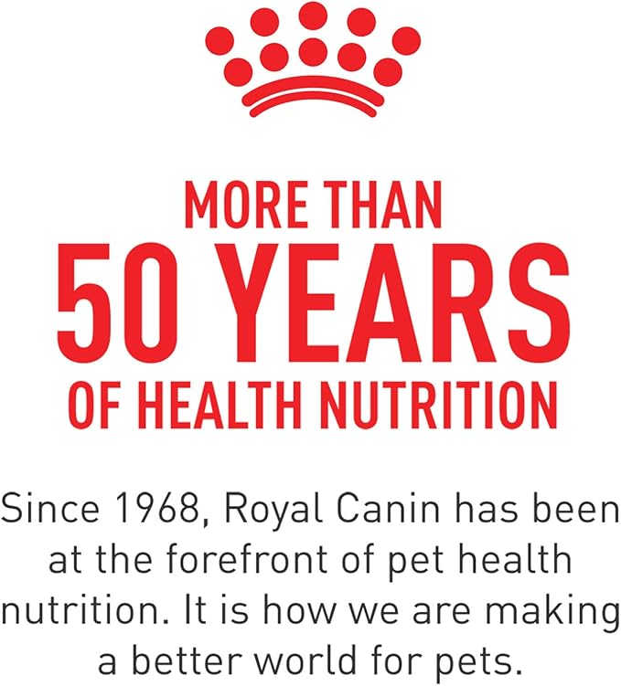 Royal Canin Feline Care Nutrition Digestive Care Adult Dry Cat Food, 3 lb Bag