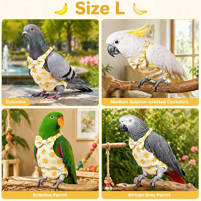 Bird Diaper and Leash Set with Harness, Washable Parrot Diapers with Leash, Pet Bird Flight Suit Set for Outdoor Flying & Training (L)