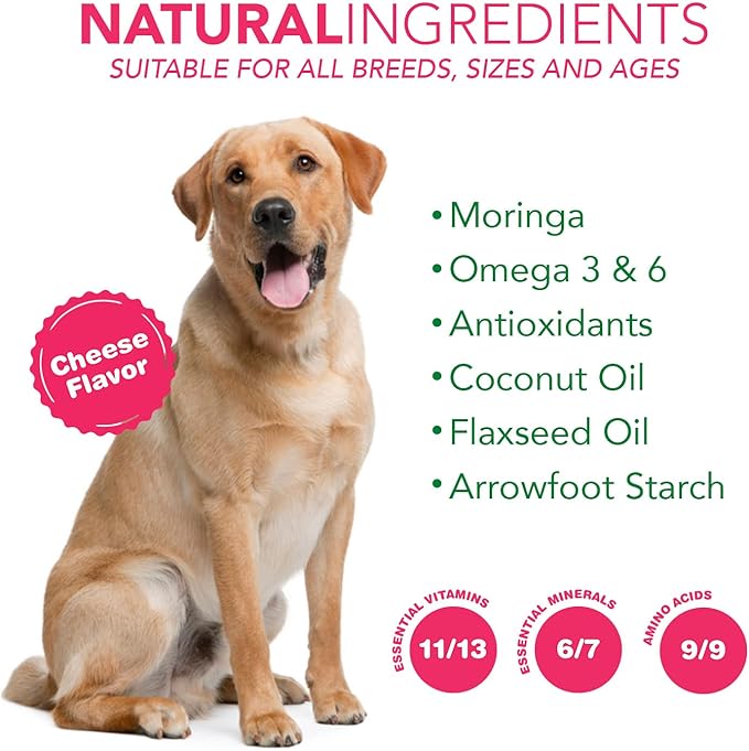 6 in 1 Superfood Dog Supplement with Organic Moringa | Treats for Immune System and Overall Health | Pets All Natural Multivitamins - 90 Chews