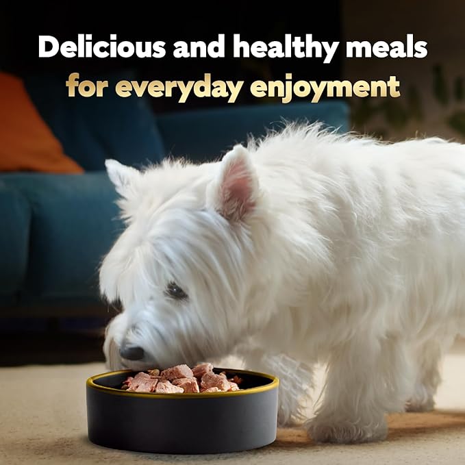 Cesar Wet Dog Food Steak Lovers Variety Pack, Adult, Wet Food for Dogs with Real Meat, 3.5 oz Easy Peel Trays, 36 Count