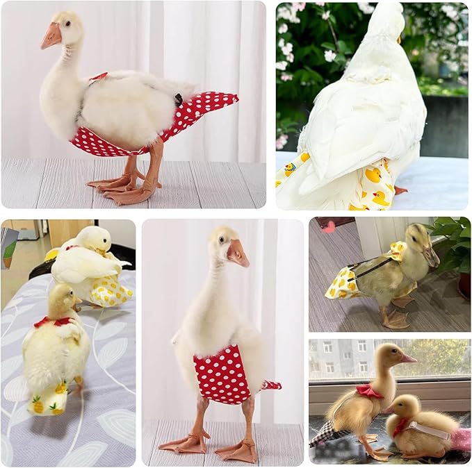 QBLEEV Pet Cole Duck Diapers for Baby Ducks, Chicken Diapers for Real Hens, Fashionable Duckling Nappy Poultry Cloth for Indoor Chick Goose Hen
