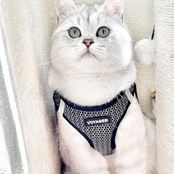 Best Pet Supplies Voyager Step-in Air Harness - All Weather Mesh, Reflective, No Pull Harness for Dogs, Cats - Secure with Hook & Loop Fastener, Buckle, Double D-Rings - Gray 2-Tone, S