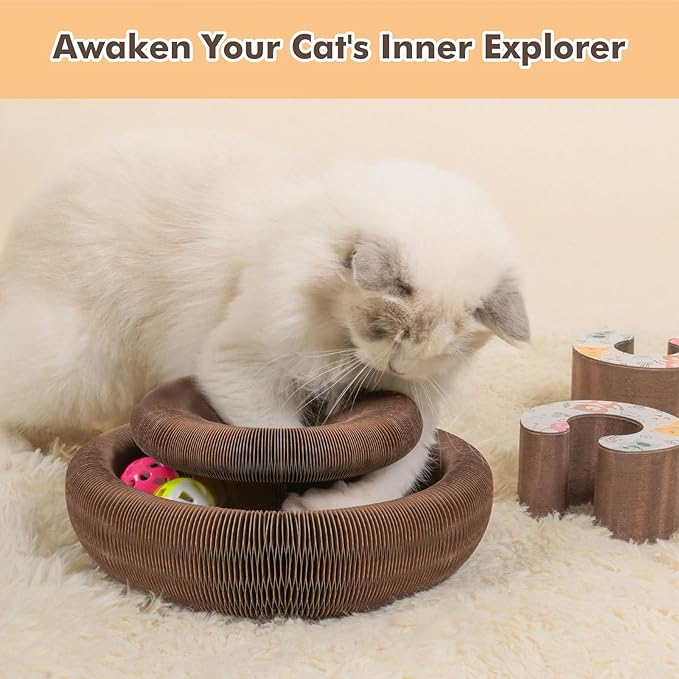 Kitty Kurlz Cat Scratching Toys for Indoor Cats - Magic Organ Interactive Cardboard Scratcher with 2 Bell Balls