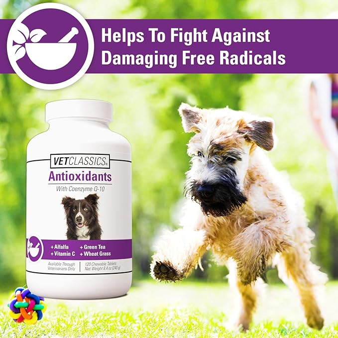 Vet Classics Coenzyme Q-10 Antioxidant Dog Supplement – Pet Health Supplement for Dogs – Supports Overall Dog Wellness, Aging – Includes Green Tea, Vitamin C, Wheat Grass – Chewable Tablets 120 Ct.