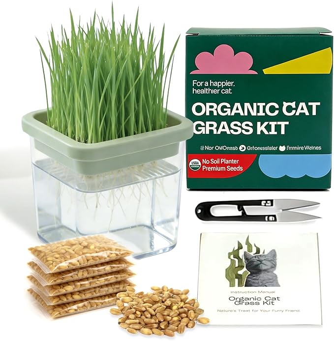 Hydroponic Cat Grass Kit with 5 Pack Non GMO Seeds & Scissors - Cat Grass for Indoor Cats, Helps Cat with Hairballs & Digestion, Easy 3-Step Setup,Gifts for Cat Lovers (Food-Safe PP&AS, 7-Day Growth)