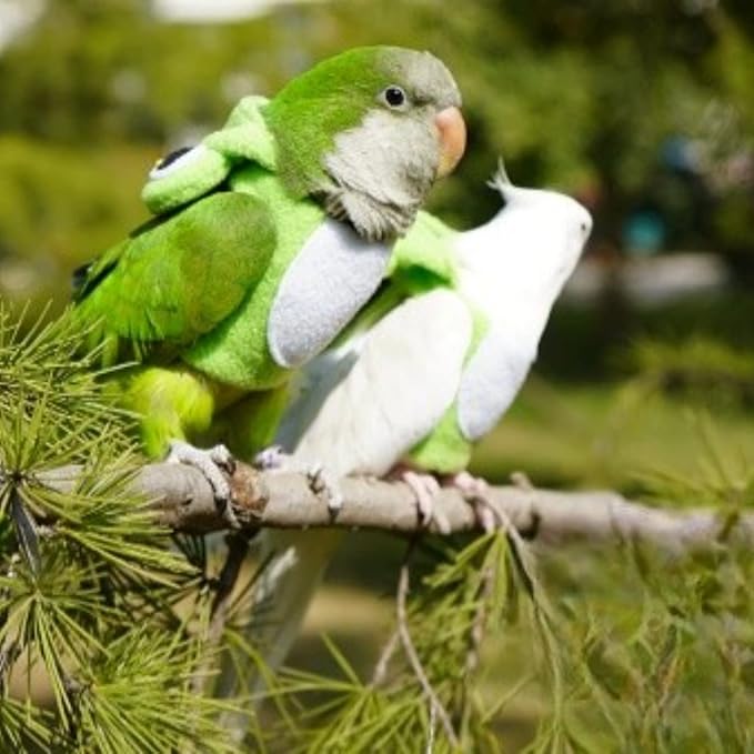 Bird Costume Diaper Flight Suit Frog Shape Hoodie Clothes Cosplay Photo Prop for Parrots Parakeet Cockatiel Sun Conure, Small Animals Apparel (Pink Without Diaper, Large), Green
