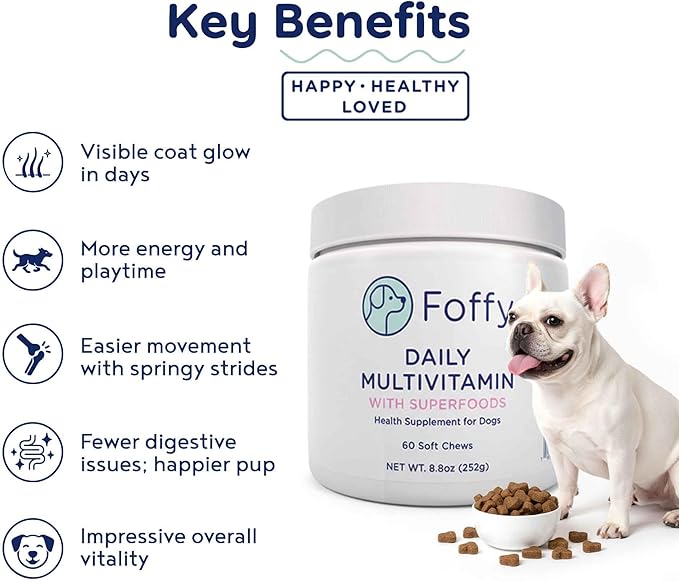 Daily Hip & Joint Multivitamin Soft Chew for Dogs with Superfoods, Probiotics, Plant-Based Omegas, kollaGen II-xs - Calms Skin, Reduces Inflammation, Improves Mobility & Promotes Longevity