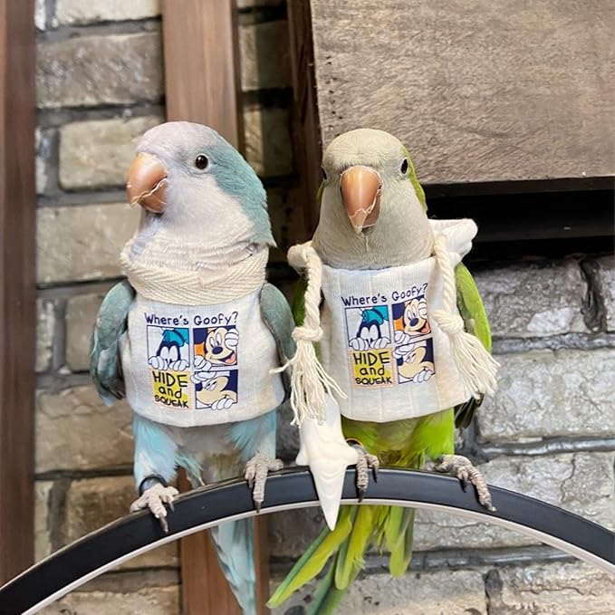 Sun Conure Bird Diaper Flight Suit Frog Shape Hoodie Cosplay Photo Prop for Parrots, Parakeet, Cockatiel - Bird Hoodie Small Animals Apparel (White Without Hat, Small)