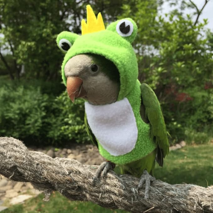 Bird Costume Diaper Flight Suit Frog Shape Hoodie Clothes Cosplay Photo Prop for Parrots Parakeet Cockatiel Sun Conure, Small Animals Apparel (Pink Without Diaper, Large), Green