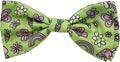 Huxley & Kent Pet Bow Tie for Dogs & Cats - Spring Theme Adjustable Hook & Loop Collar Accessory - Cute & Comfortable for Holidays & Celebrations - Everything Spring, Small
