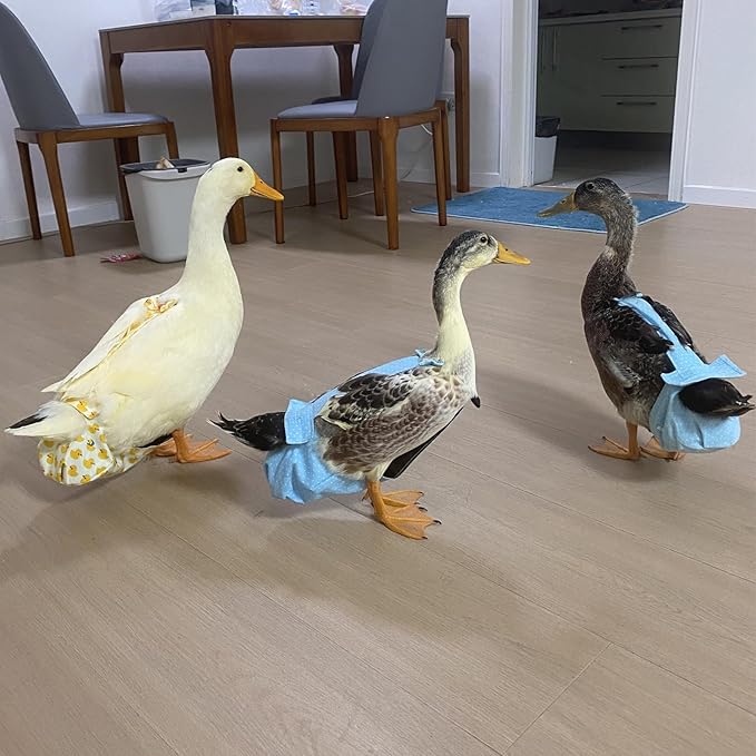 BestParts 2pcs Adjustable Diaper Waterproof Reusable Diapers, Cloth Diaper Wearable Poultry for Farm Pet Goose, Duck, Chicken, Button Adjustable Version (Pink + Yellow, S(0.55-1.65pounds), 1, Count)