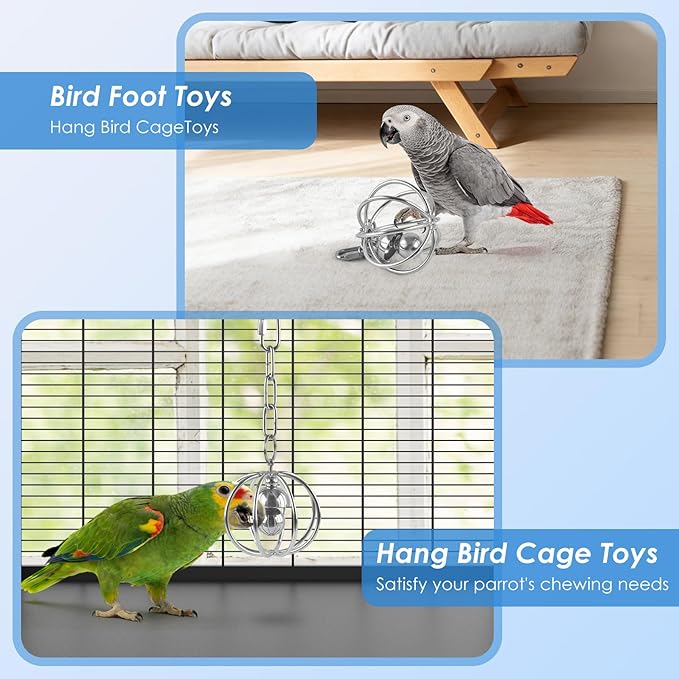 Heavy-Duty Stainless Steel Bird Toy for Parrots, Durable Hollow Foraging Ball with Detachable Chain, Chew-Proof Parakeet Training Toys for Macaws, Amazons, Eclectus, African Greys, Cockatoos