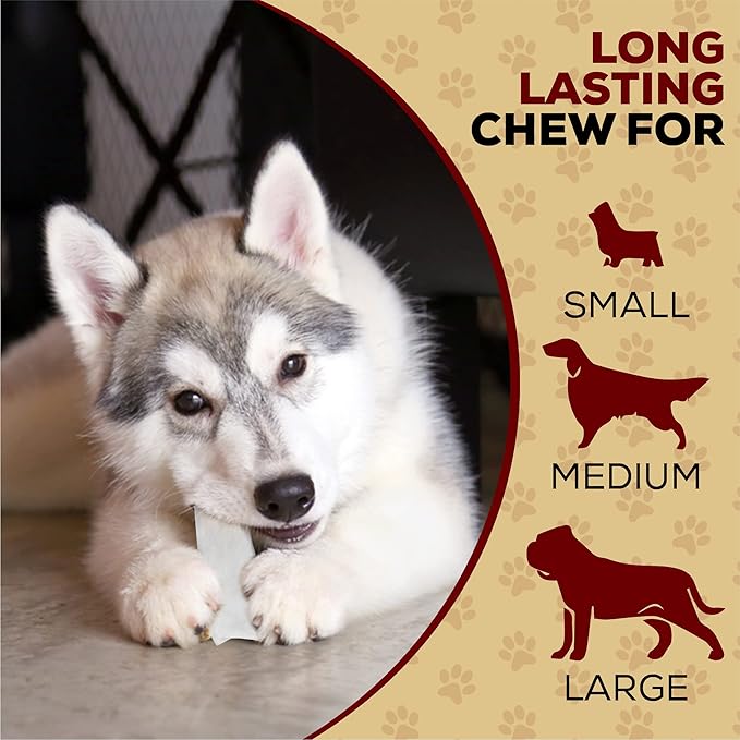 Dog Chew Treats, Rawhide Chips, Beef Hide | All Natural | 1 Pound Pack of 2 | Premium Quality | For Small/Medium/Large Dogs