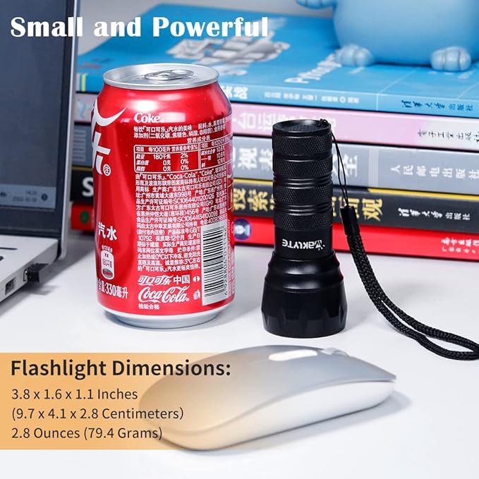 Black Light UV Light, 21 LED 395nm UV Flashlight, Powerful Mini Blacklight Flashlight, Small Portable Black Light Flashlight for Pet Urine Detection, Scorpion, Resin Curing, Bed Bug, Nails