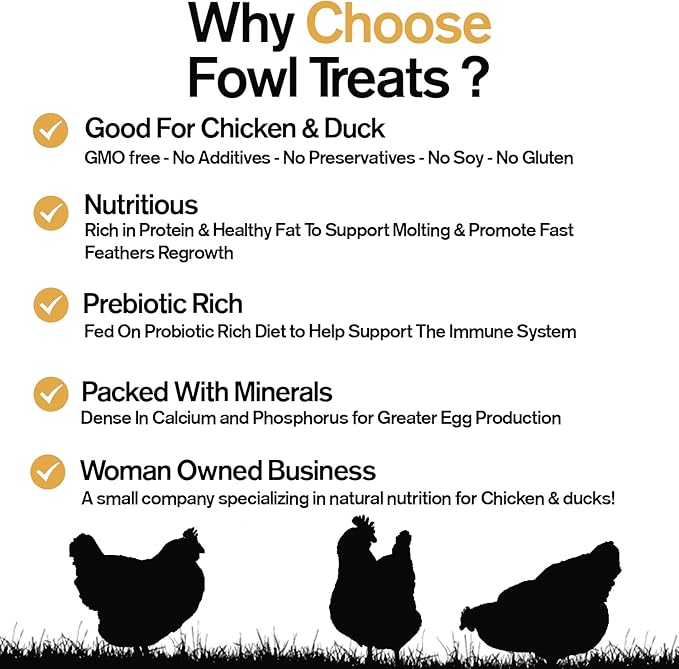 Naturally Fortified Treats – Protein Rich Supplement Suitable for Chickens, Hens and Ducks, Hand Mixed with USA Grown Ingredients – Salo Tera Blend – 32oz